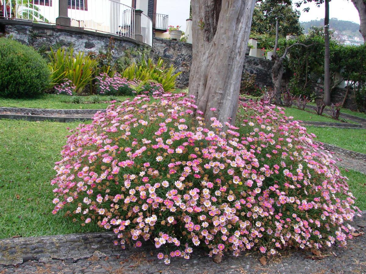 Romantic Studio Funchal  Luaran gambar